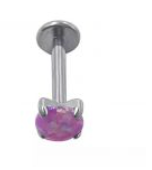 Piercing BASIC Ponto de Luz GARRA