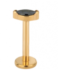 Piercing BASIC Pingo