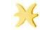 Piercing BASIC Signos