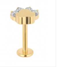 Piercing Patinhas CZ