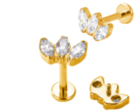 Piercing Cascata Fan Set Adidas CZ