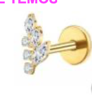 Piercing Titanium Raminhos (vários)