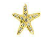 Piercing Titanium Premium Estrela do Mar