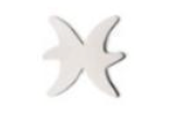 Piercing BASIC Signos