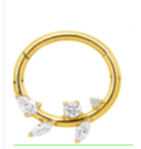 Argola BASIC Daith e Septo - Raminho 5