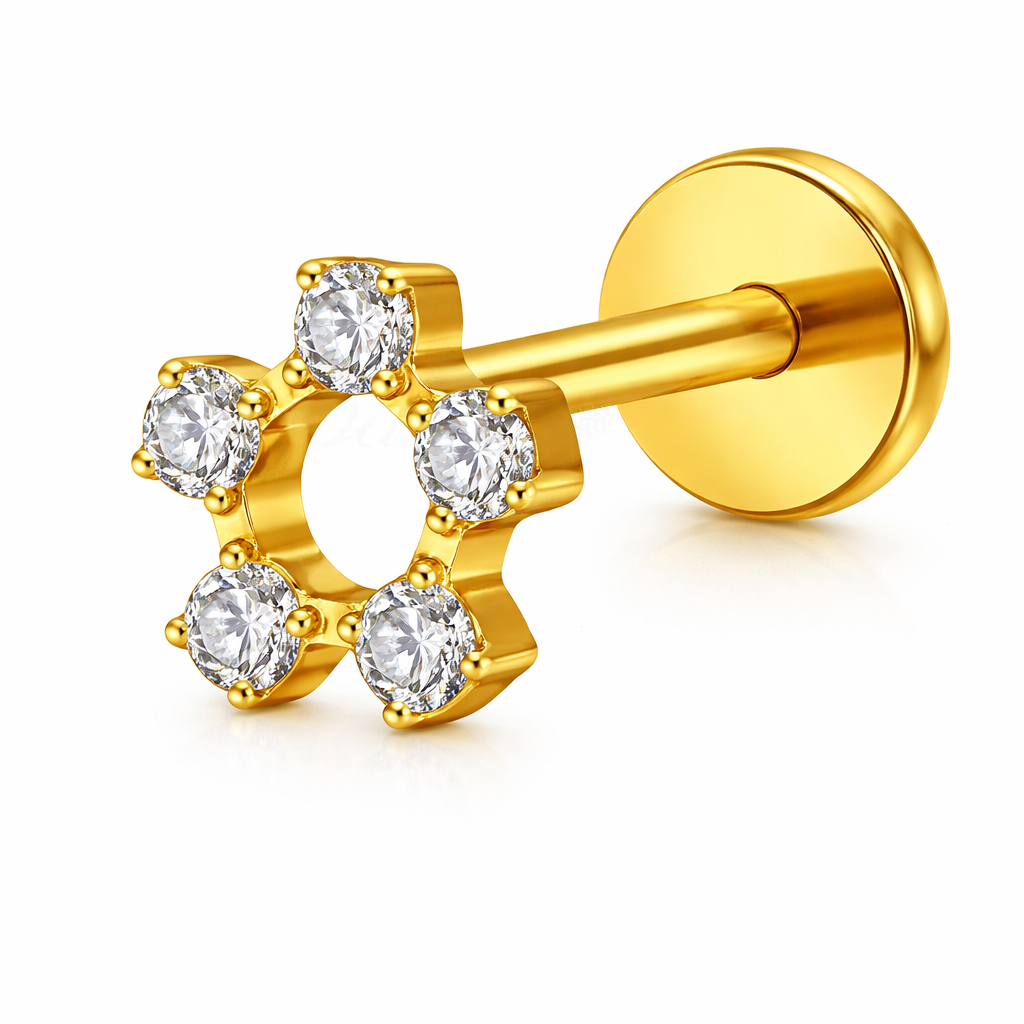 Piercing Titanium BASIC Roda