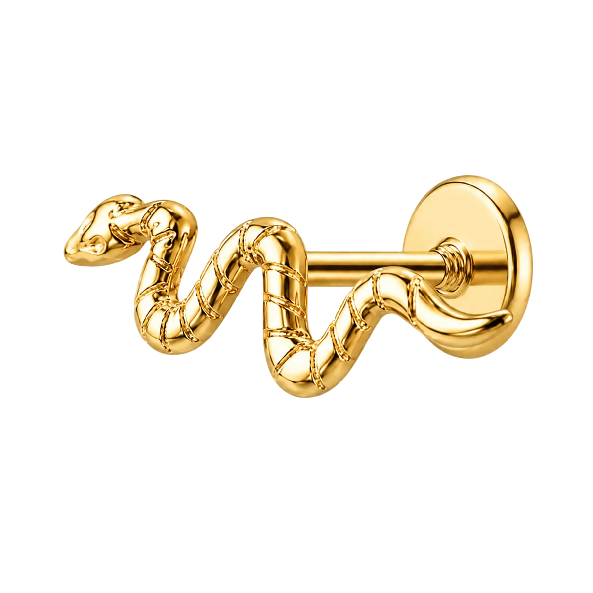 Piercing Titanium Labret Cobra Lisa | Linha Essencial
