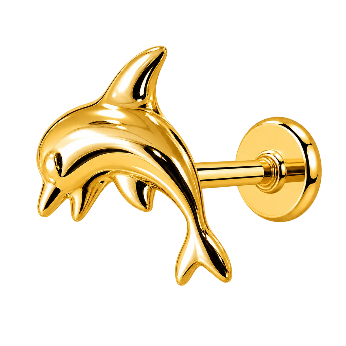 Piercing Titanium Labret Golfinho | Linha Essencial