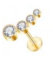Piercing BASIC - Cluster 4 Curvado