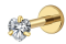 Piercing BASIC Ponto de Luz RIG GARRA Formas