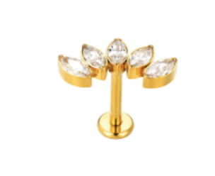Labret Cascata 5 CZ - Titanium