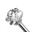 Piercing BASIC Ponto de Luz RIG GARRA Formas