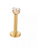 Piercing BASIC Ponto de Luz GARRA
