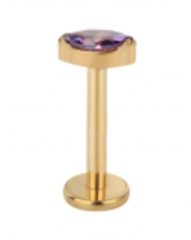 Piercing BASIC Pingo