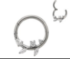 Argola BASIC Daith e Septo - Raminho 5