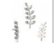 Piercing Titanium Raminhos (vários)