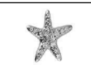 Piercing Titanium Premium Estrela do Mar