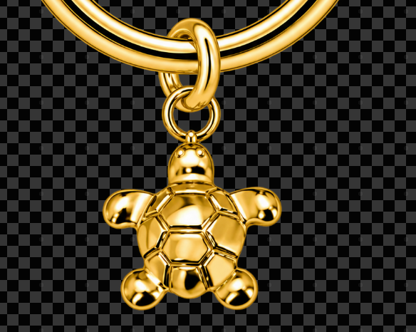 Acessórios de Titanium Pendentes | Linha Premium