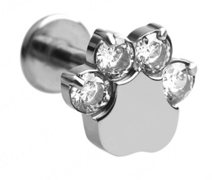 Piercing Pet Paw - Titanium