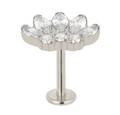 Piercing Cascata Fan Flower 8 CZ - Titanium