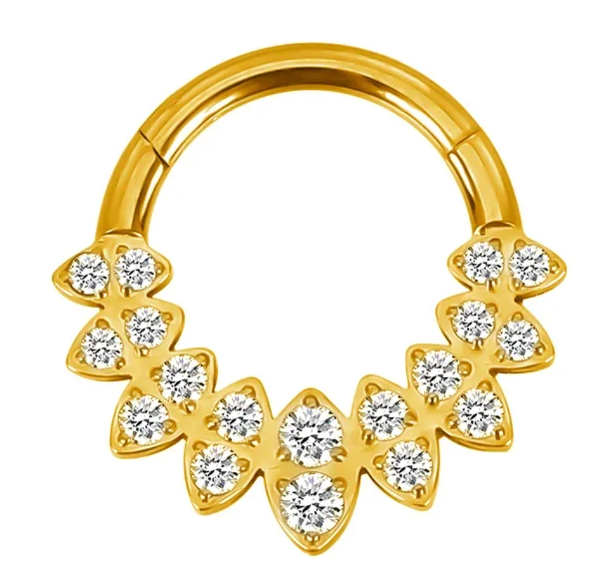 Piercing Argola  Folha Linha Dupla CZ