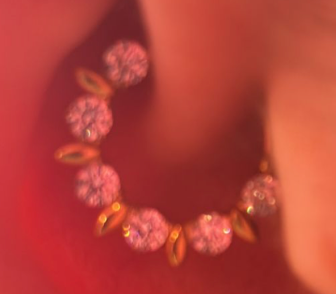 Piercing  Daith e Septo - Argola Folha Alternada 10mm