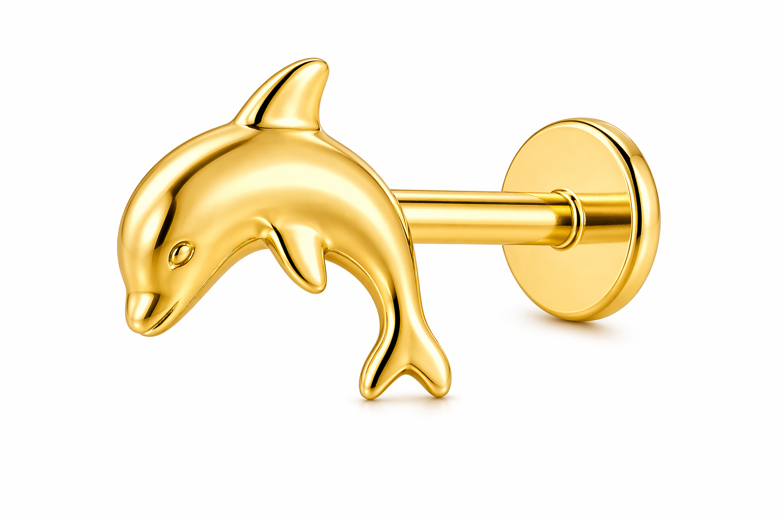 Piercing Titanium  BASIC Golfinho