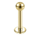 Piercing BASIC Labret Liso