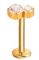 Piercing BASIC Duplo Garra