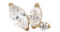 Piercing BASIC Asas 3 Gold
