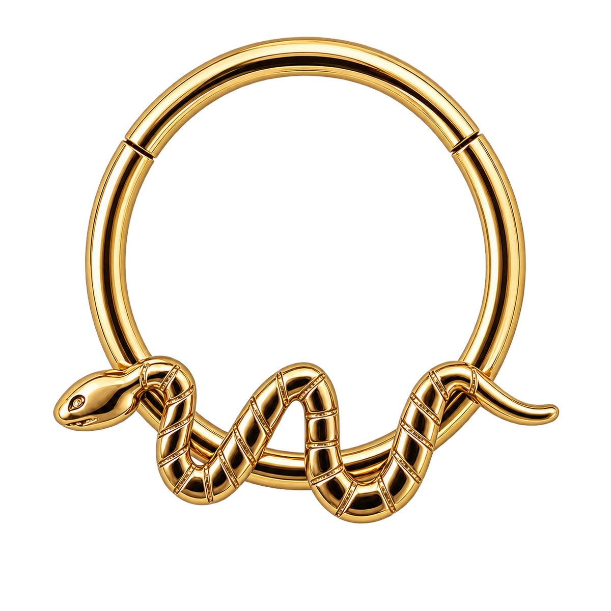 Piercing Argola BASIC Daith e Septo - Cobrinha