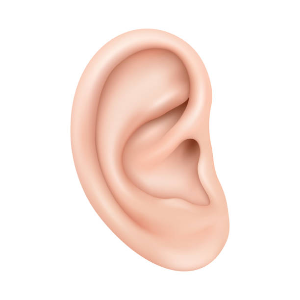 Lobuloplastia